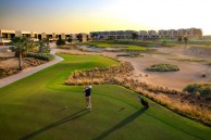 Trump International Golf Club - Fairway